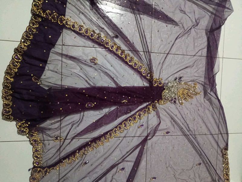 Stylish Saree