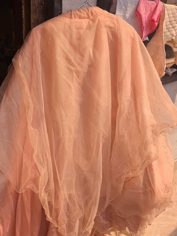 Peach Organza lehnga