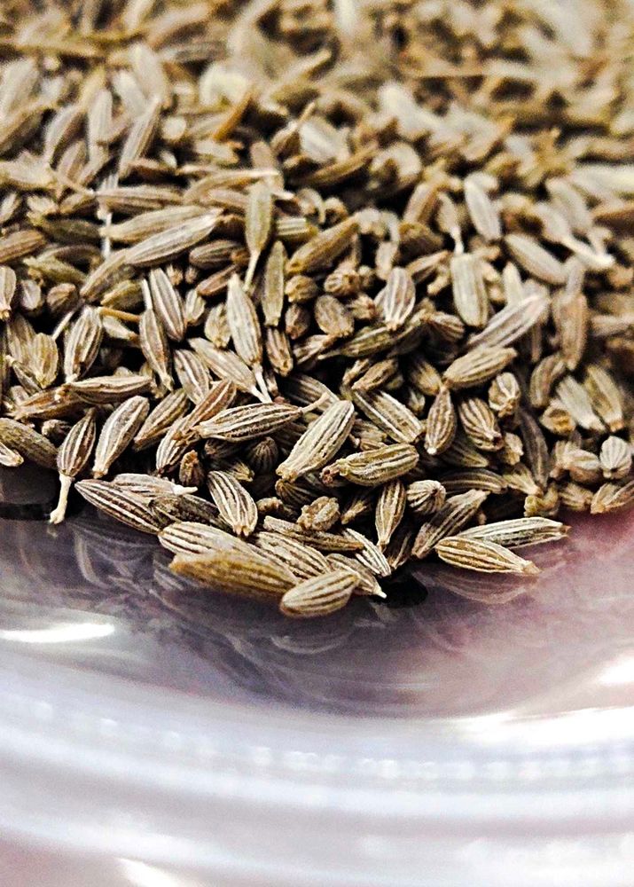 Cummin/ Jeera Seeds