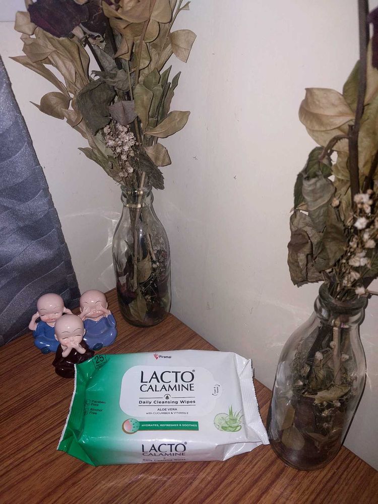 Lacto Calamine Wipes