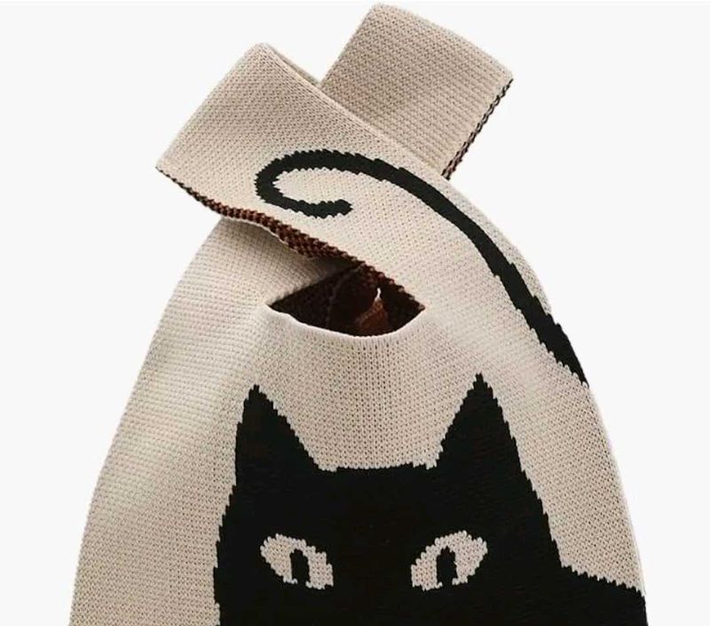 Aesthetic Women Handbag