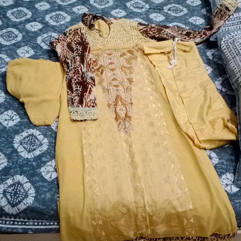 biscut colour suit with tiger print sleaves one day offer