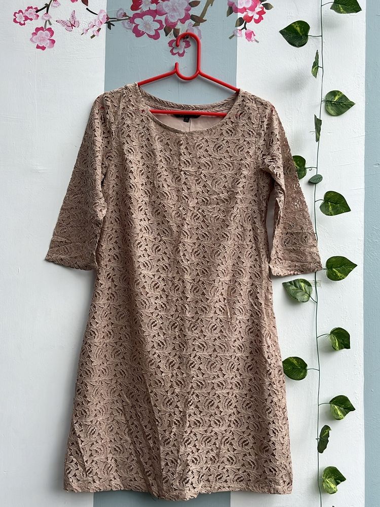 Knee Length Lace Dress
