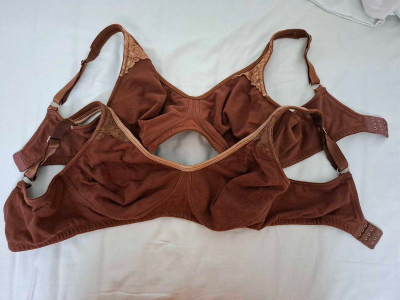 2 Zivame Penny Pure Cotton Bra 38DD