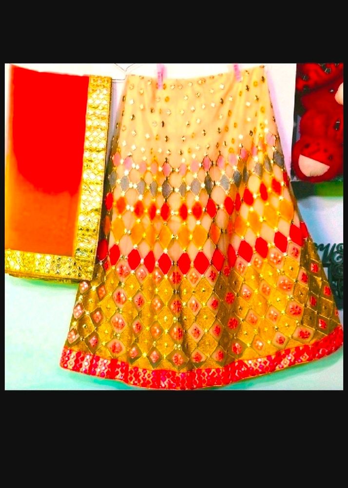 Women Butterfly Lehenga Choli Same As Picture