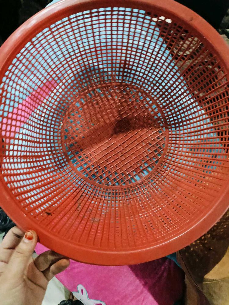 Plastic Daliya