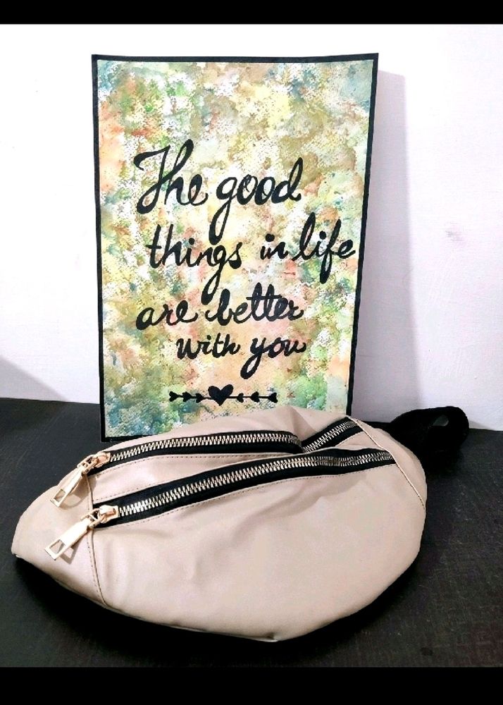 Trendy Waist Bag