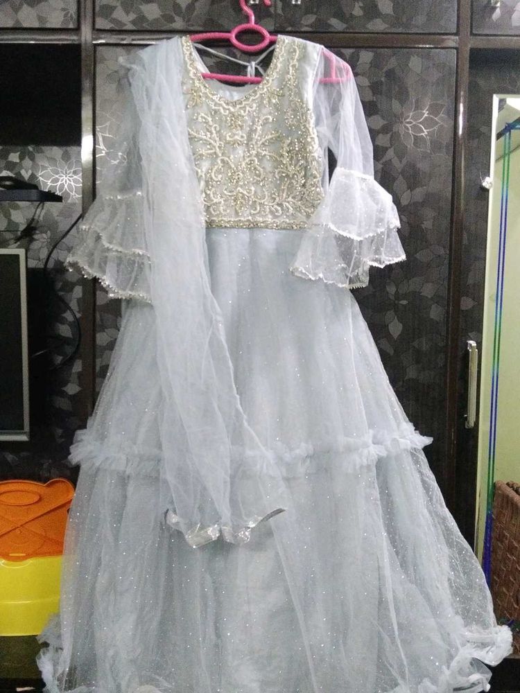 Elegant Ethnic Gown