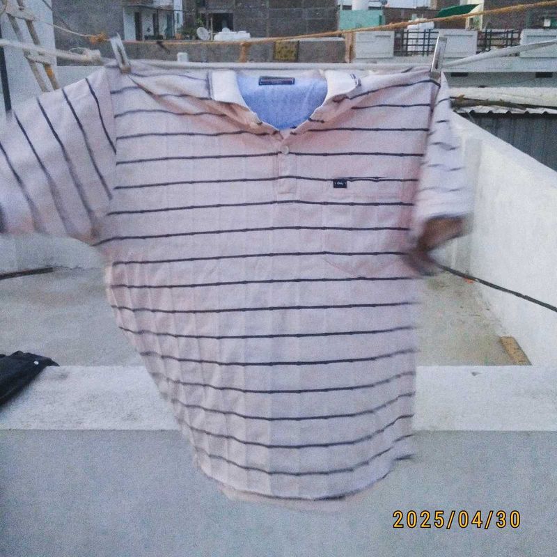 Striped Short Sleeve Polo Shirt