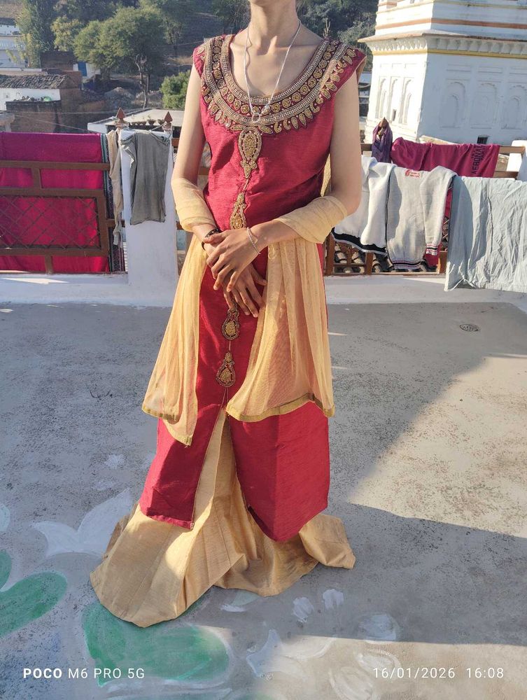 Elegant Ethnic Dress