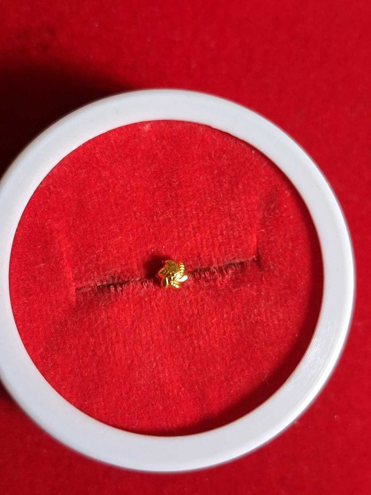 Cute Gold Nose Pin