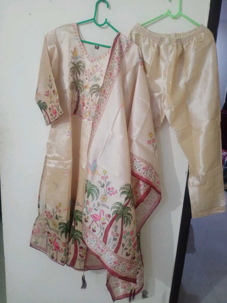 Elegant paetywear Kurta Set