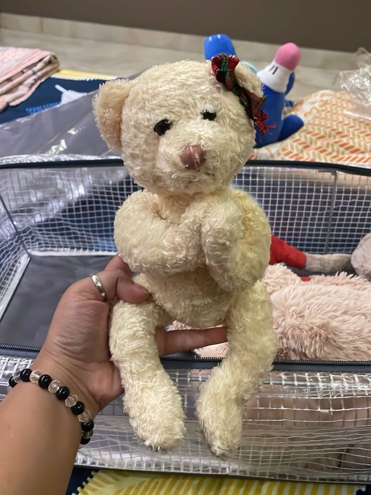 Collectible Teddy Bear