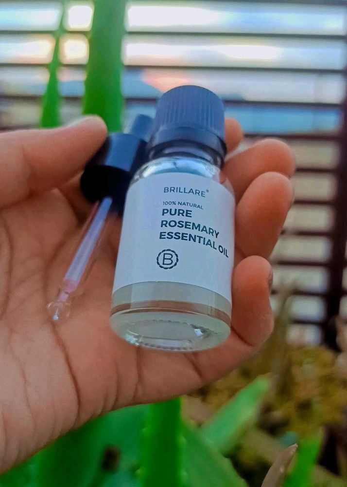 Rosemary Essential Oil