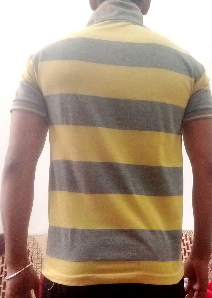 Tshirt For Men