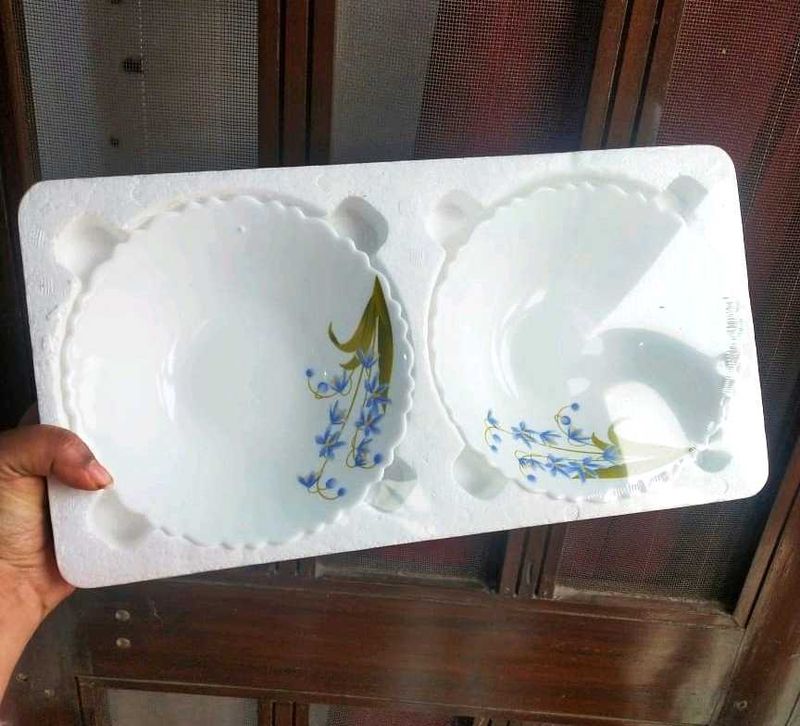 BOROSIL Bowl Set (2)