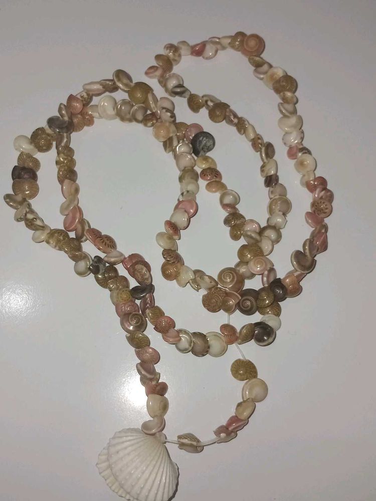 Seashell Necklace