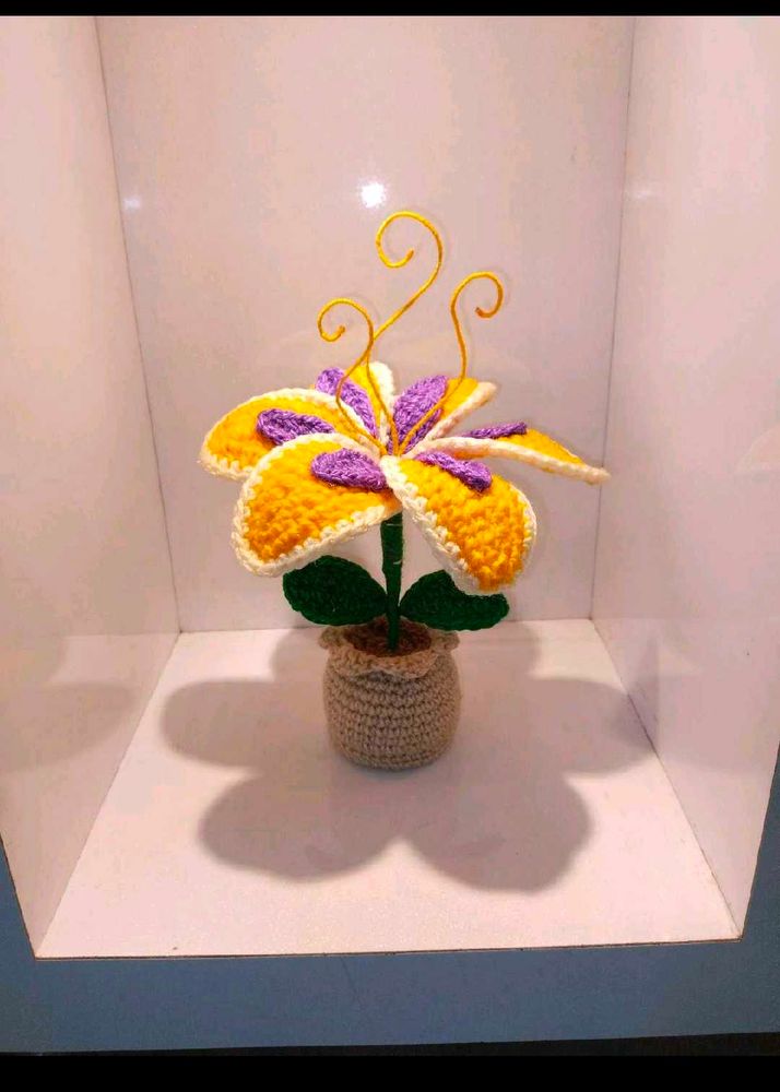 Custom Order For Jahanvi