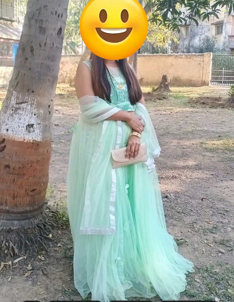 Mint Green Embroidered Lehenga choli
