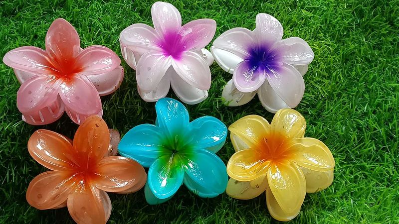 Floral Design Hair Clips