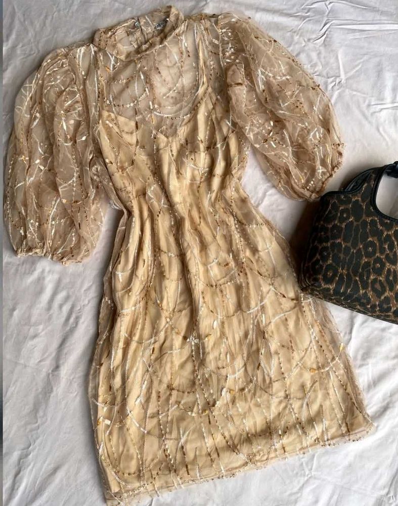 Zara mesh sequin dress