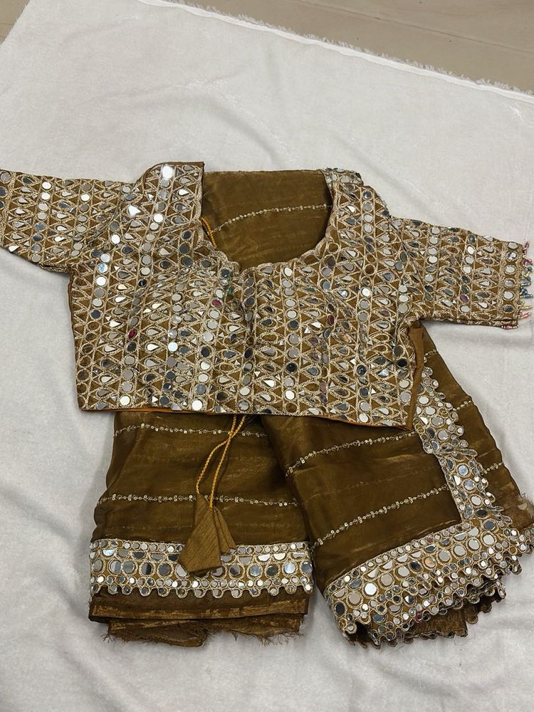 Brown Mirror Work Saree &amp; Blouse