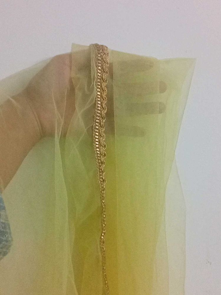 Elegant Dupatta