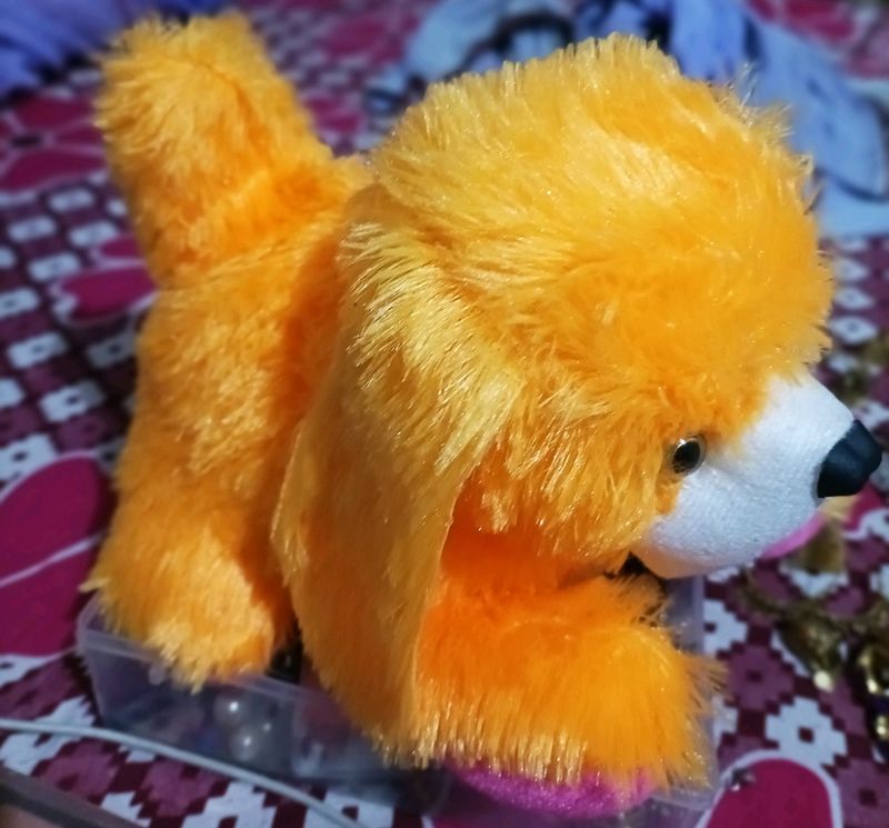Soft Dog