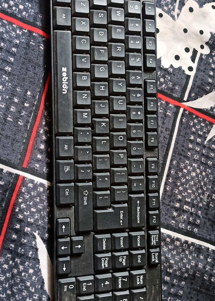 Zebion Keyboard Not Much Used