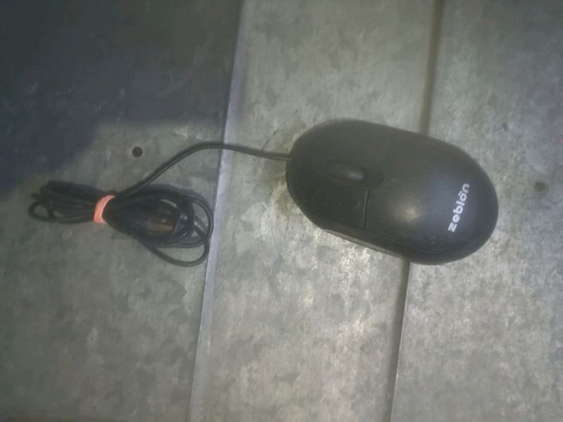 Mouse For Sale