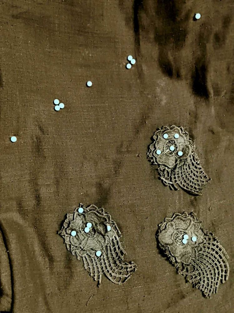 Elegant Dark Brown Dupatta