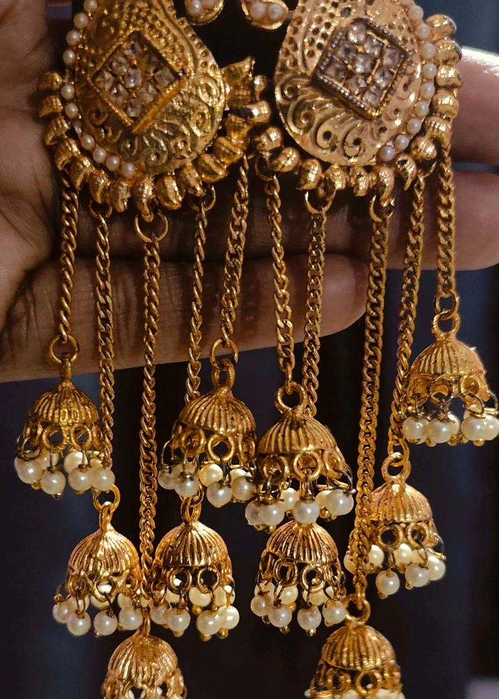 Elegant Ethnic and Party wear Earning