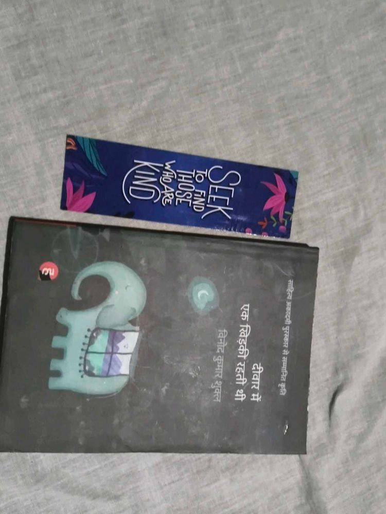 Deewar Mein Ek Khidki rahti thi upnyas