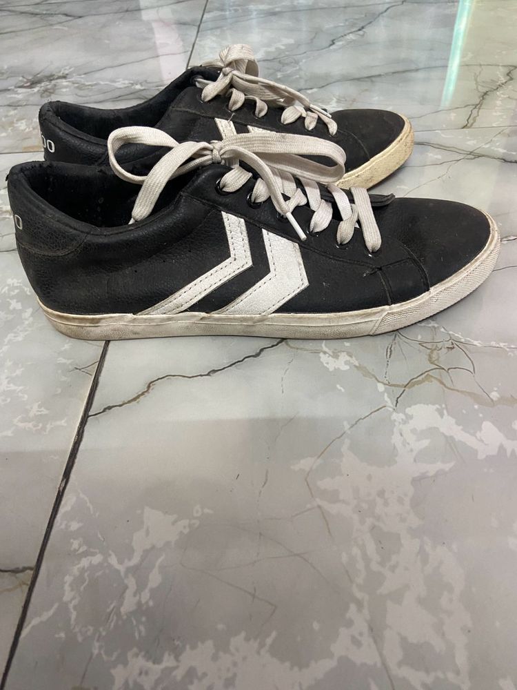 Blue Sneaker For Men