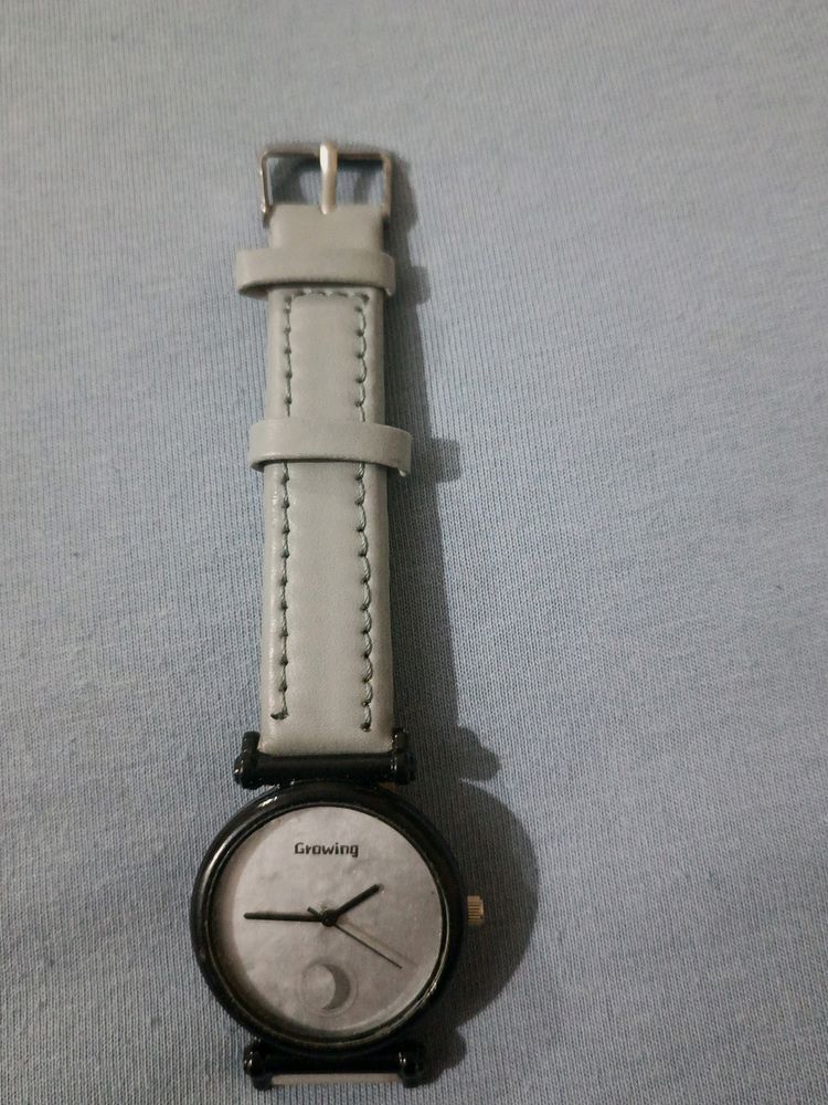 Professional Watch