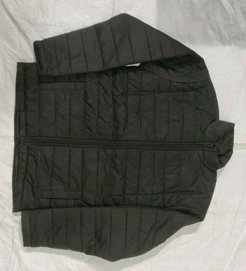 Padded Winter Jacket