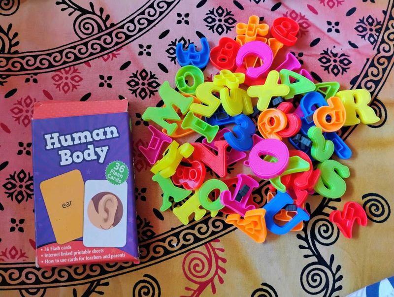 Kids Body Parts Cards And Magnetic Alphabets
