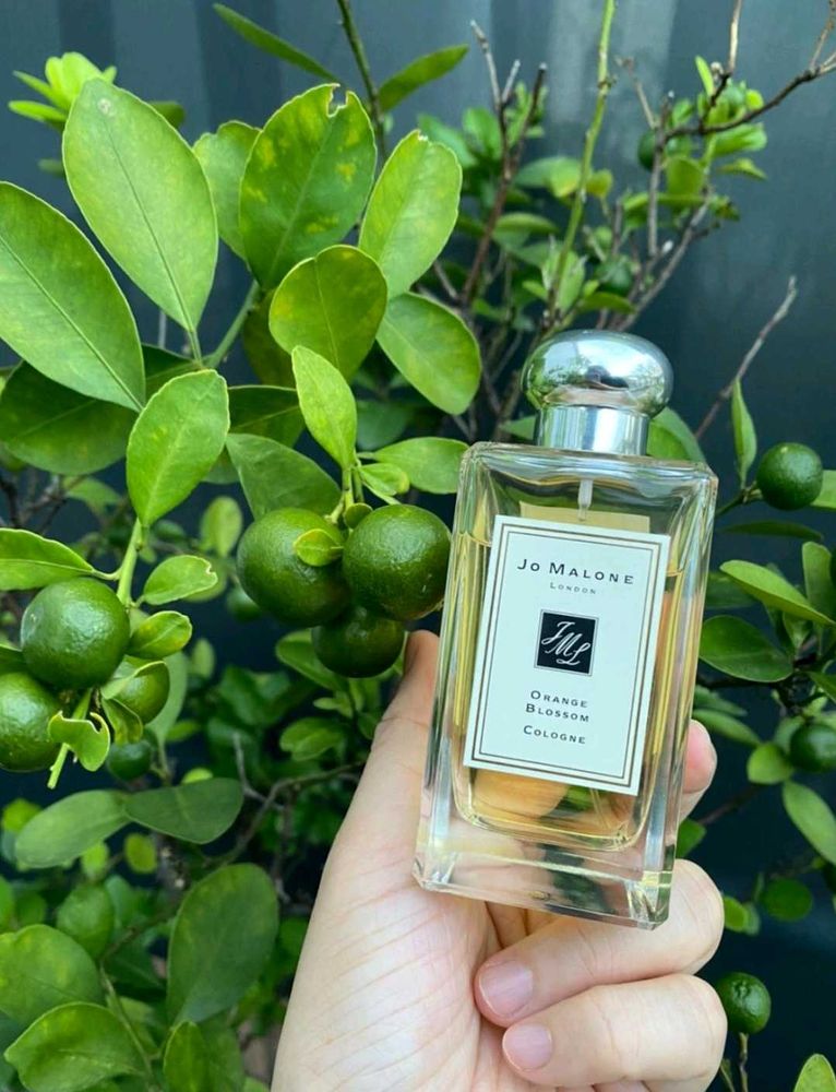 Jo Malone Orange Blossam 🍊