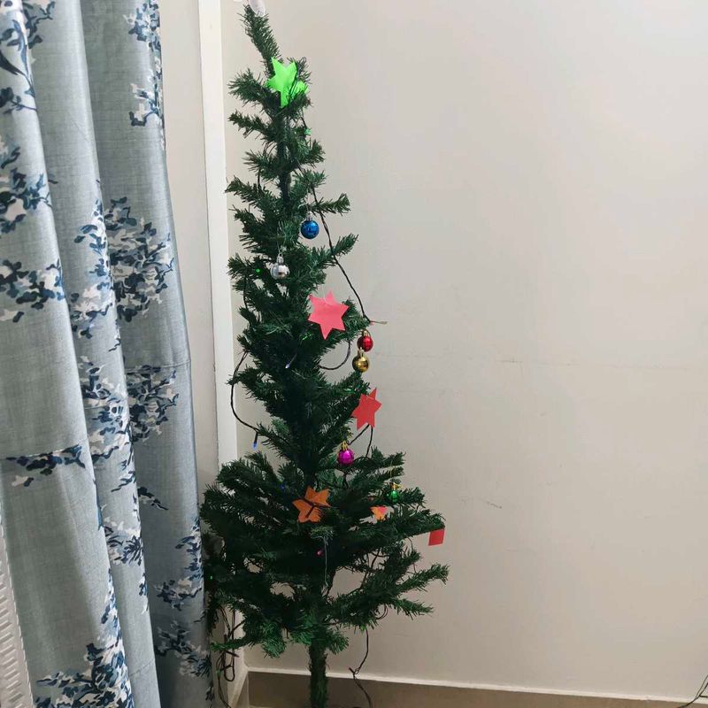 Christmas Tree | 5 Feet