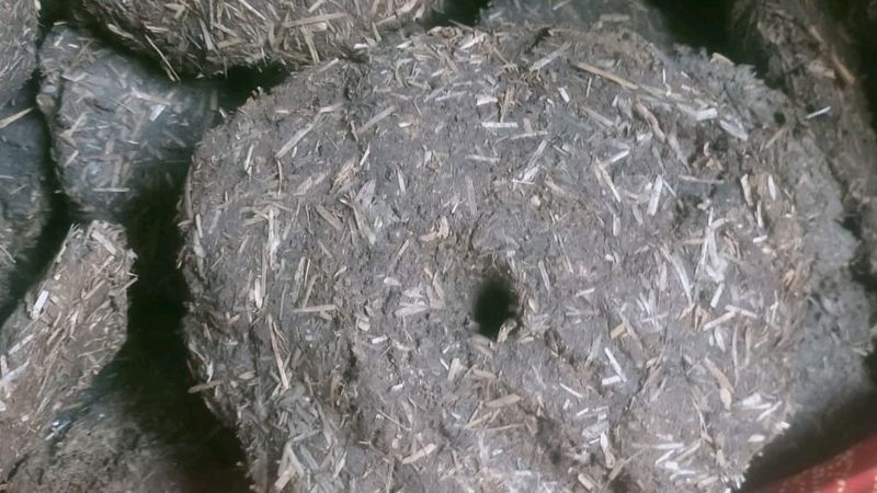 Cow Dung Cake