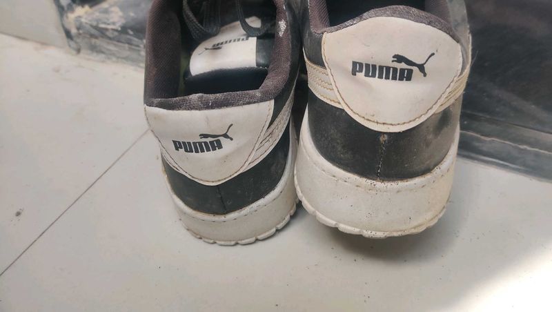 PUMA SHOES 1 TIME USED