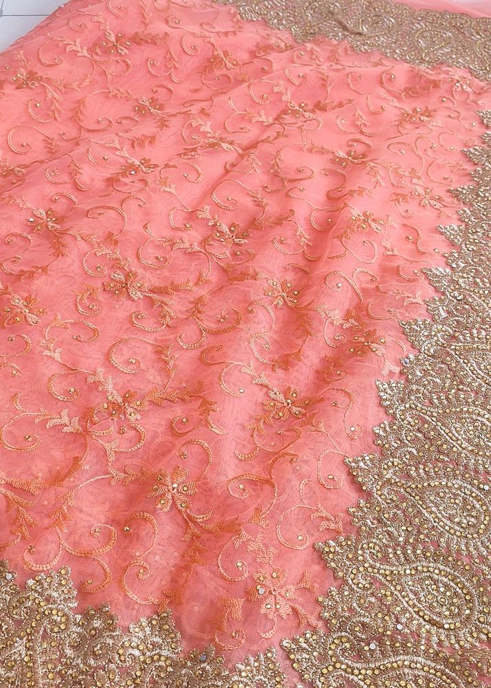 Beautiful Net Saree