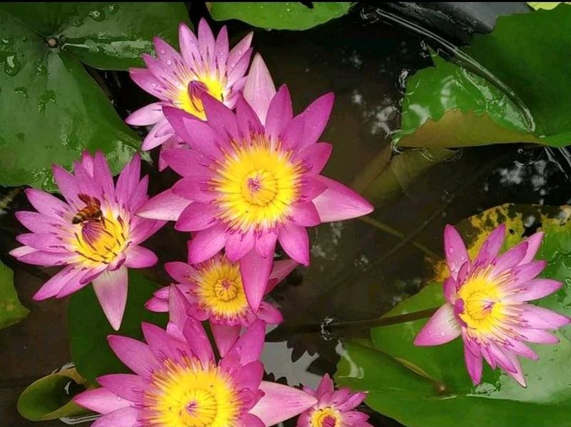 For Jyoti Mam