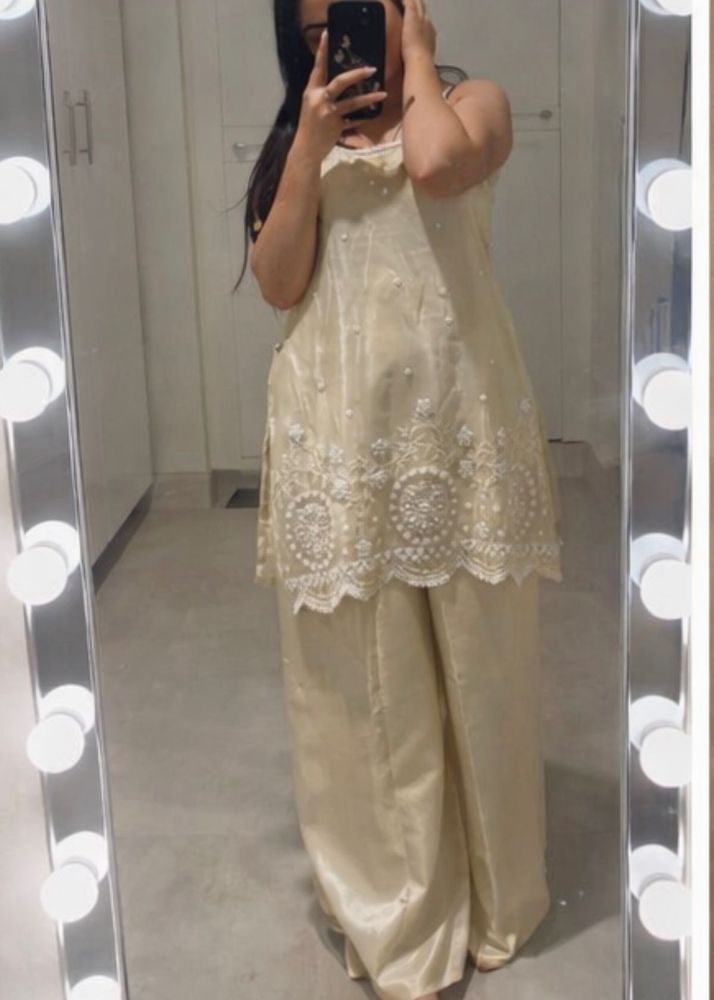 Elegant Salwar Suit - Party Wear