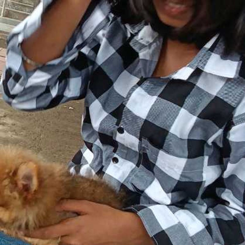 Checked Button-Down Shirt