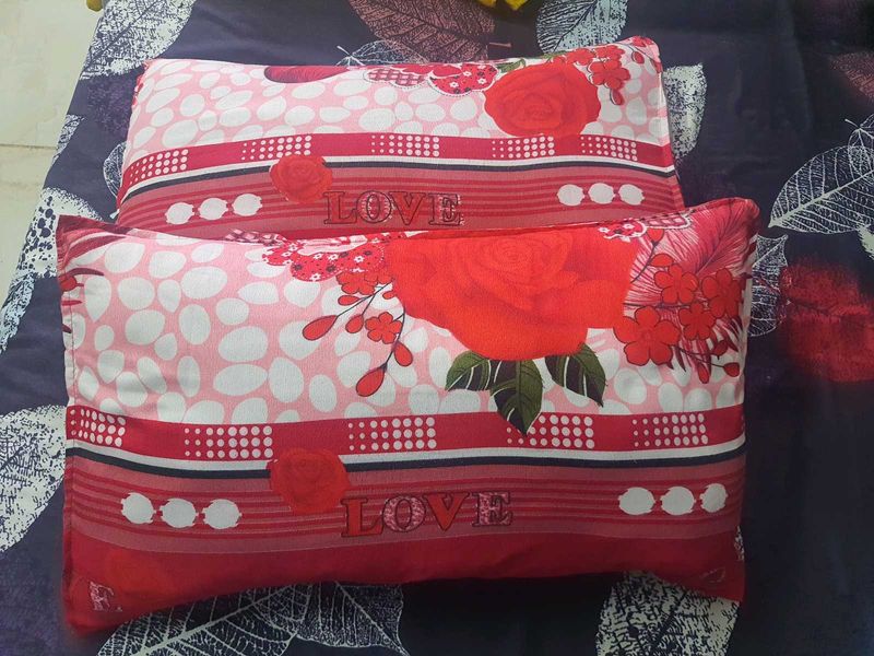 Pair of 2 pillow covers