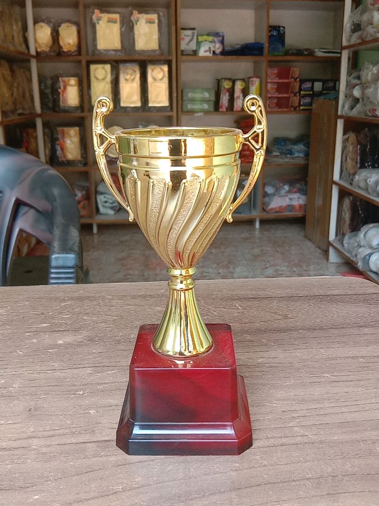 Small Cup Trophy 🏆