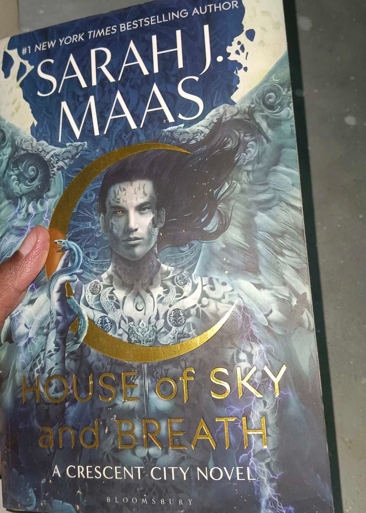 Crescent City Book 2