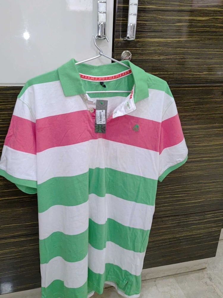 Striped Polo Shirt