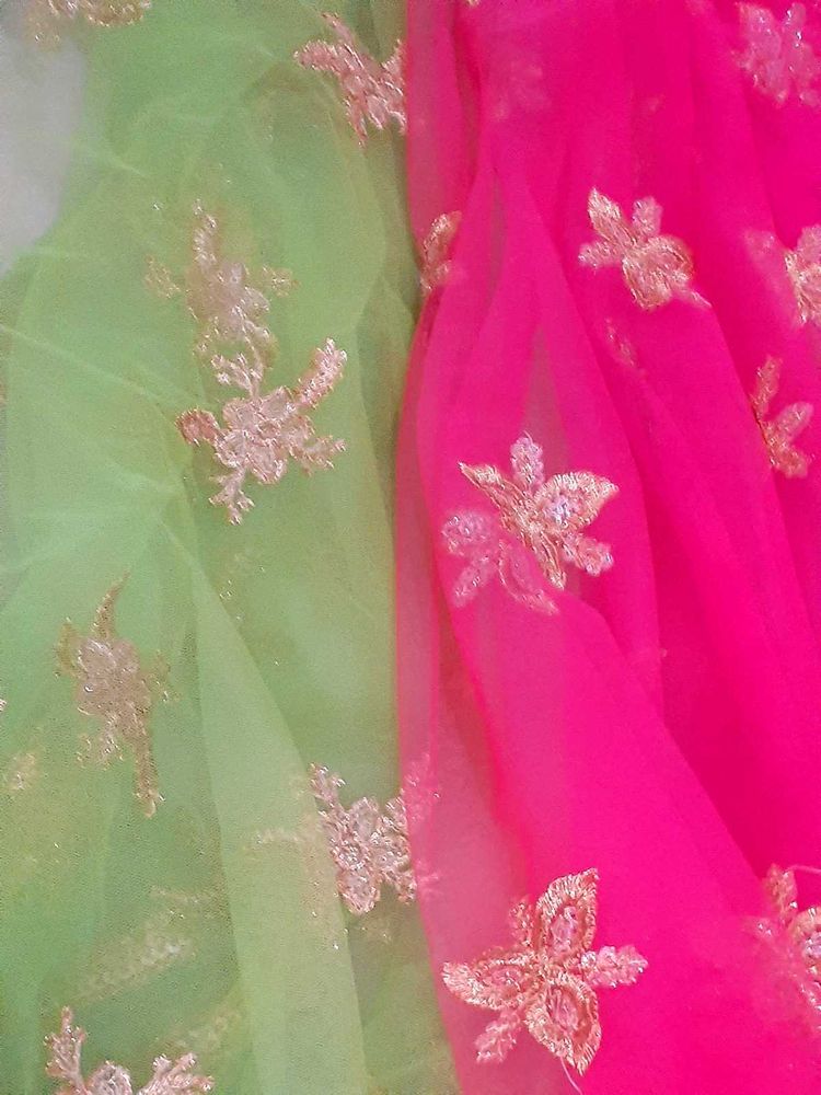 Ethnic Pink And Green Net Saree